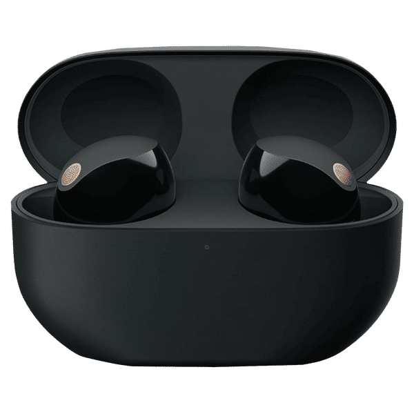 Buy SONY WF-1000XM5 TWS Earbuds with Active Noise Cancellation